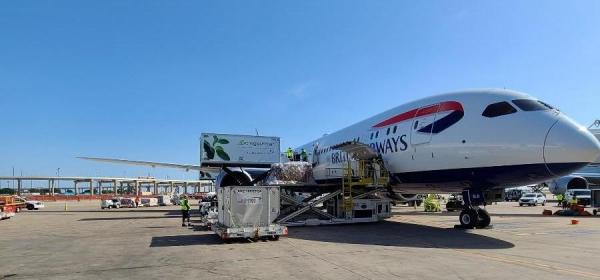 British Airways, B787-10